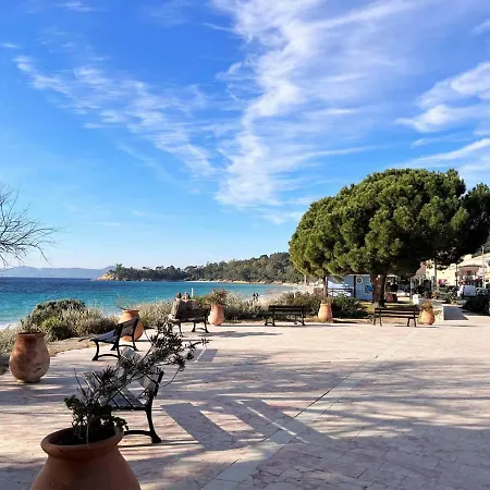 Le Lavandou, 3 Pieces, 6 Personnes - Fr-1-251-474 *