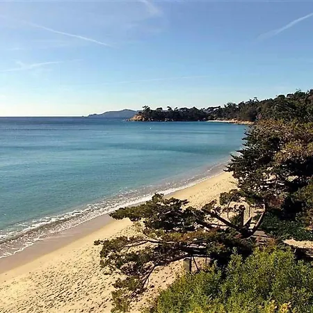 Le Lavandou, 3 Pieces, 6 Personnes - Fr-1-251-474 Apartment Le Lavandou